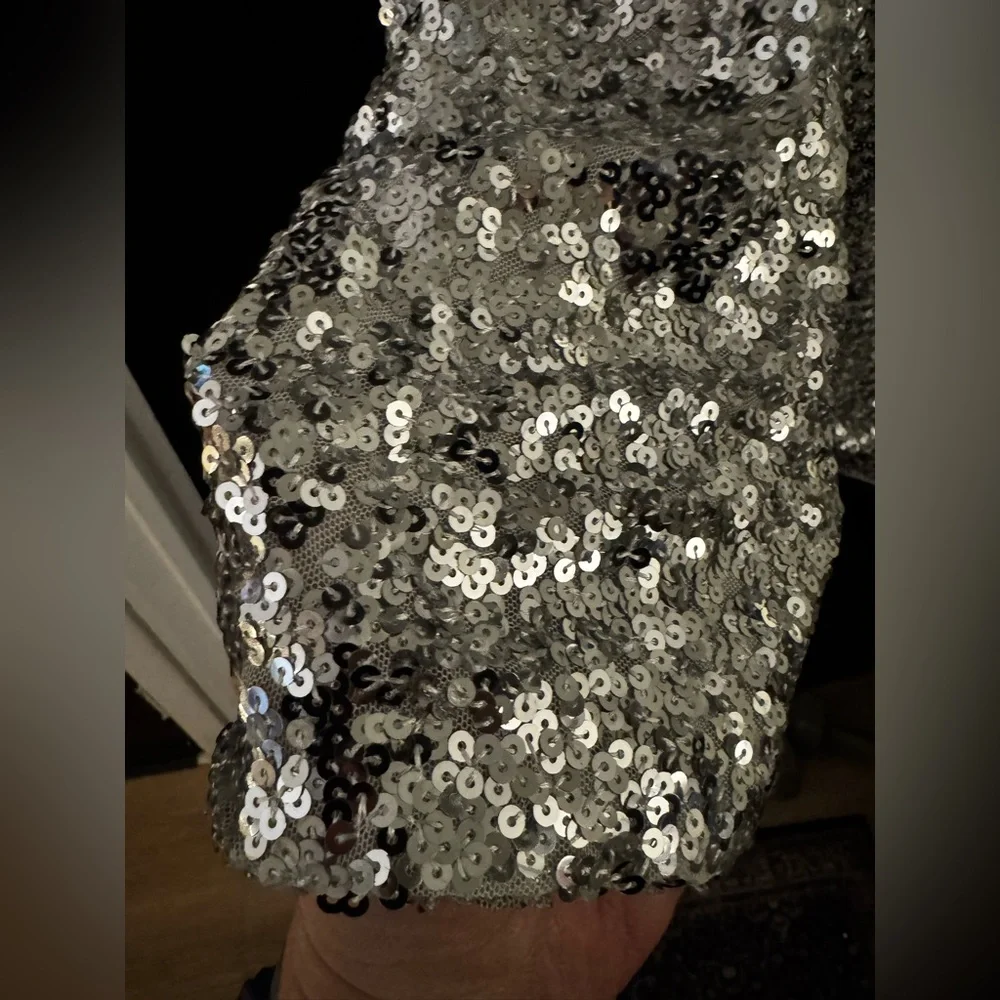 H&M Silver Sequin Mini Dress – Women’s XL – NWT – Party & Holiday Ready! - Picture 5 of 8